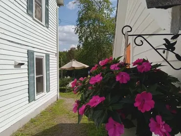 The Alpine Homestead in bloom