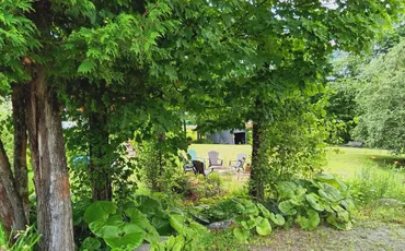 The garden and yard